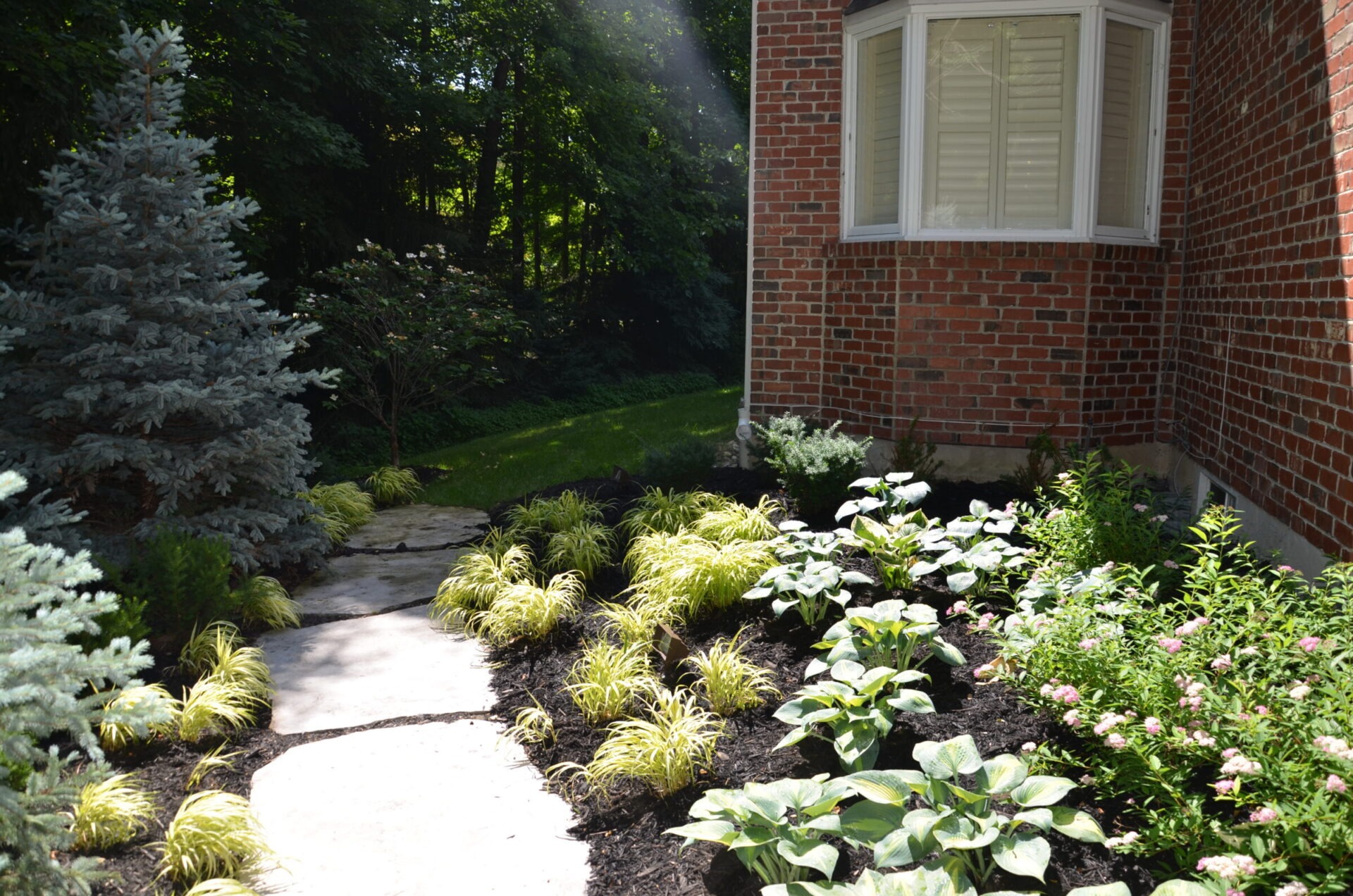 Brick house with a bay window, surrounded by a lush garden featuring various plants, paving stones, and evergreen trees under sunlight.