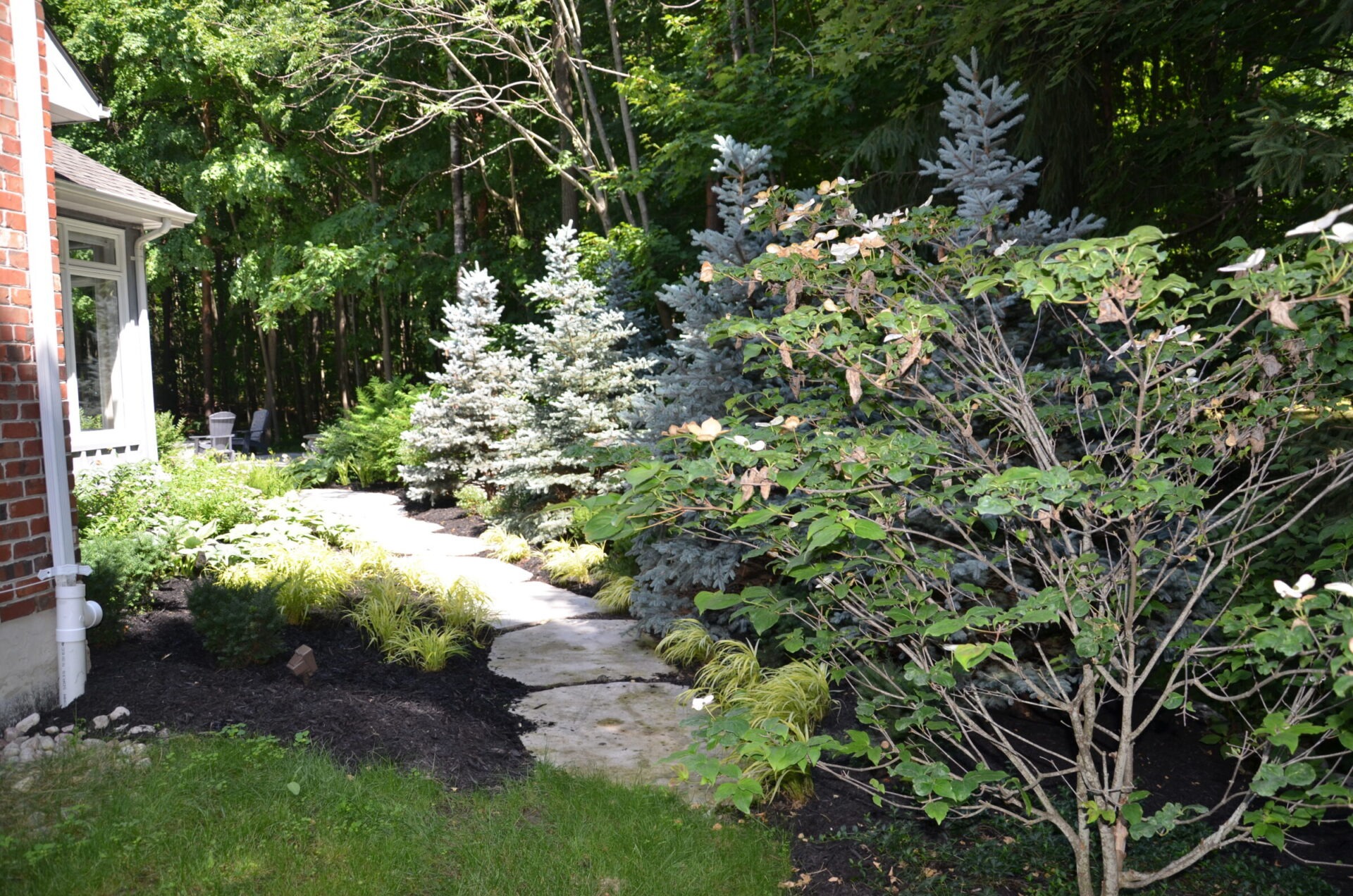 A landscaped garden with a stone path, surrounded by lush greenery and bushes, next to a brick building wall in a wooded area.