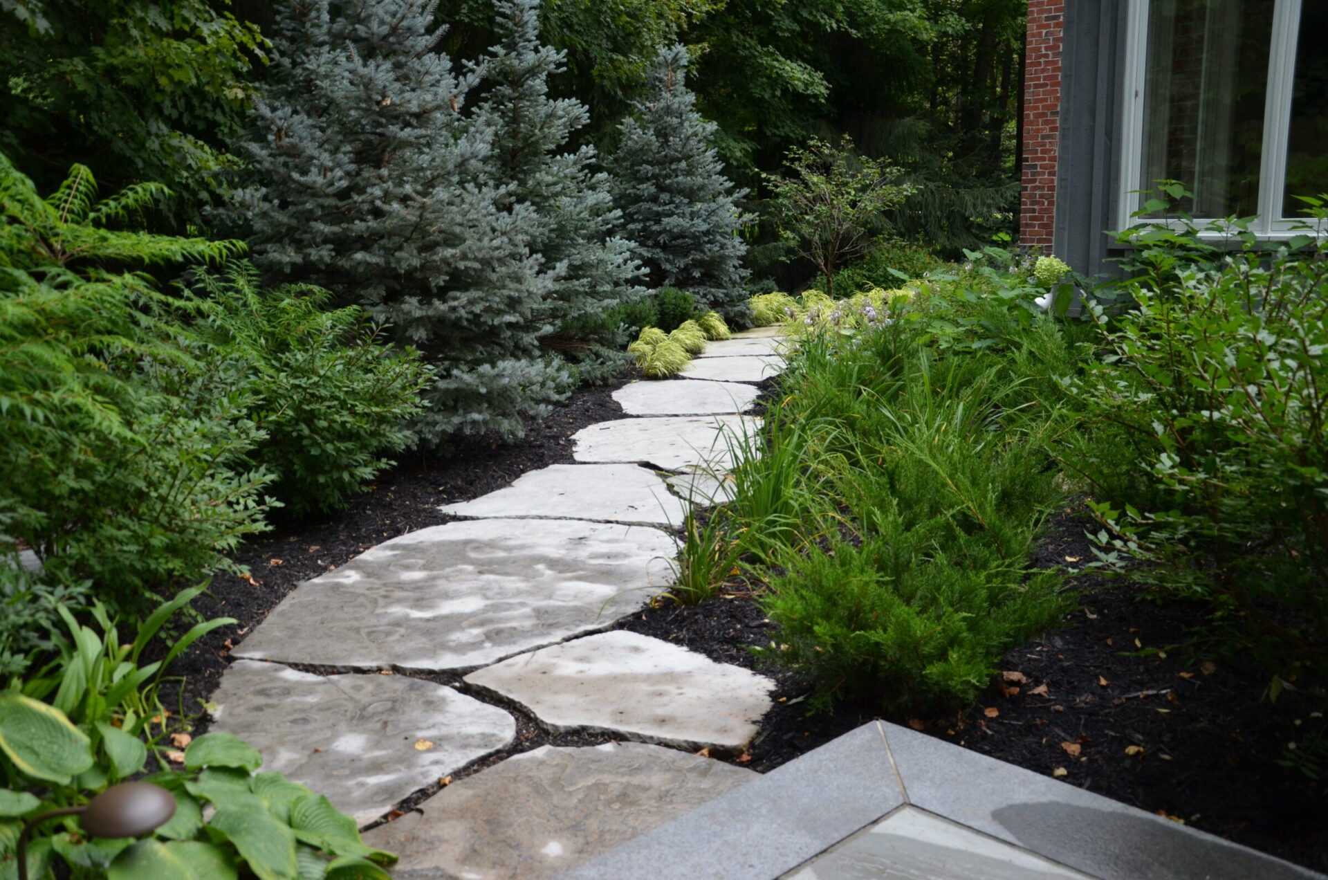 A serene garden path of large stone slabs winds through lush greenery and evergreens, adjacent to a modern building.