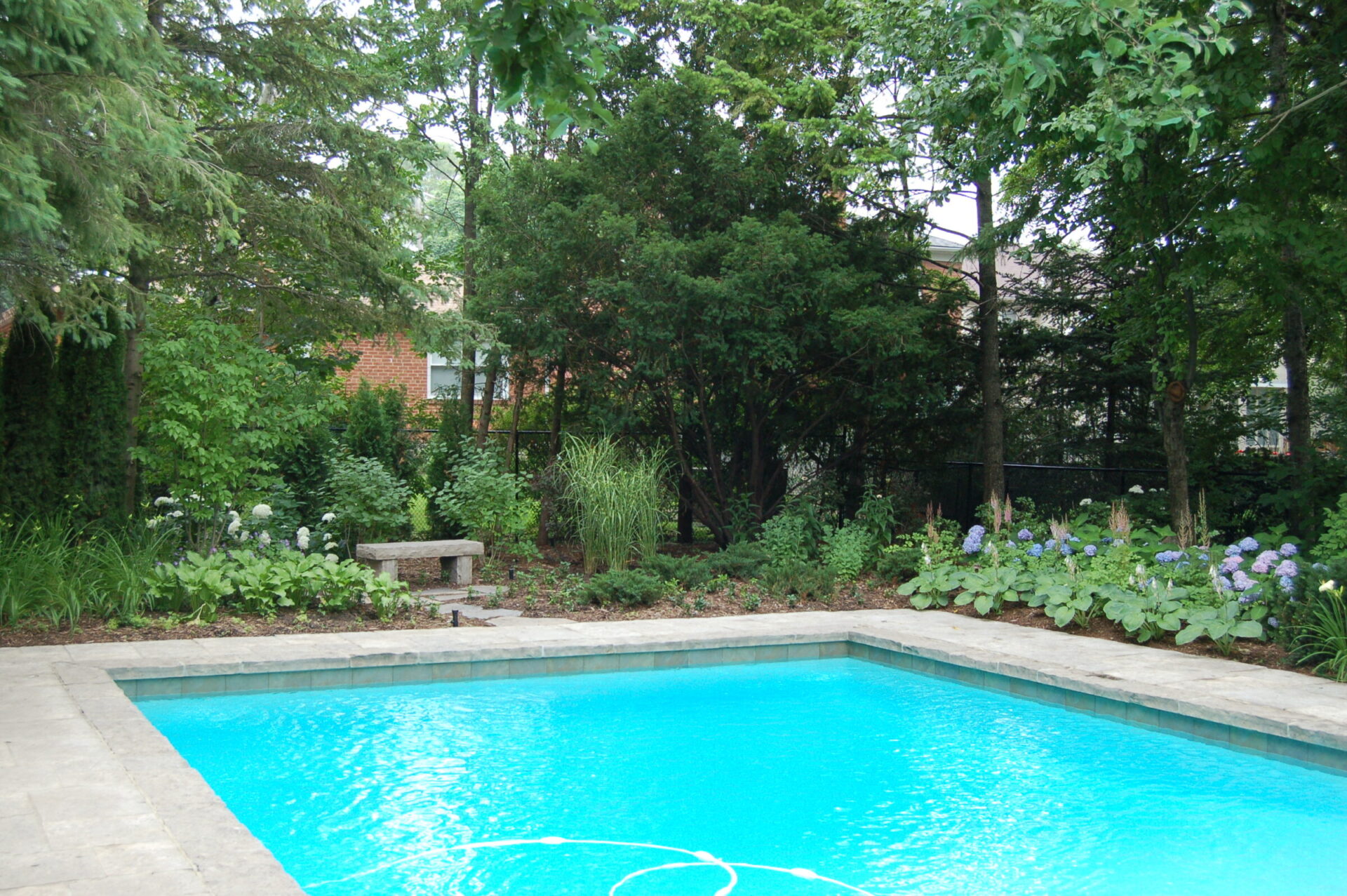 A serene backyard garden with a clear turquoise swimming pool, surrounded by lush greenery and trees, with a stone bench in the background.