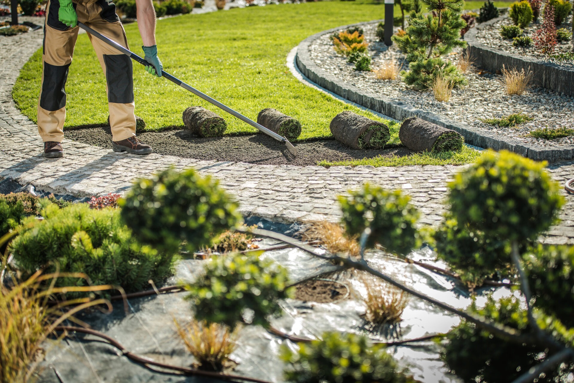 A person landscaping, laying new sod on a stone path in a neatly designed garden with shrubs and decorative plants.