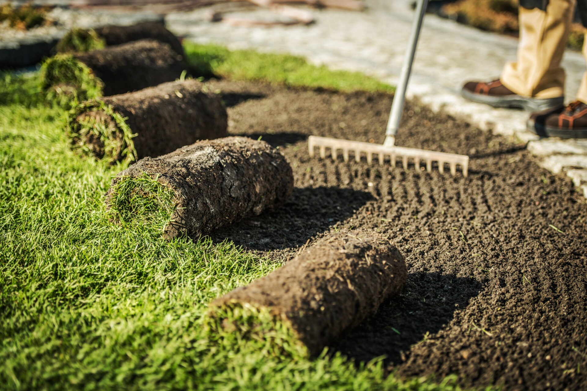 A person is raking soil while laying rolls of sod on a patch of grass, working on landscaping in an outdoor setting.