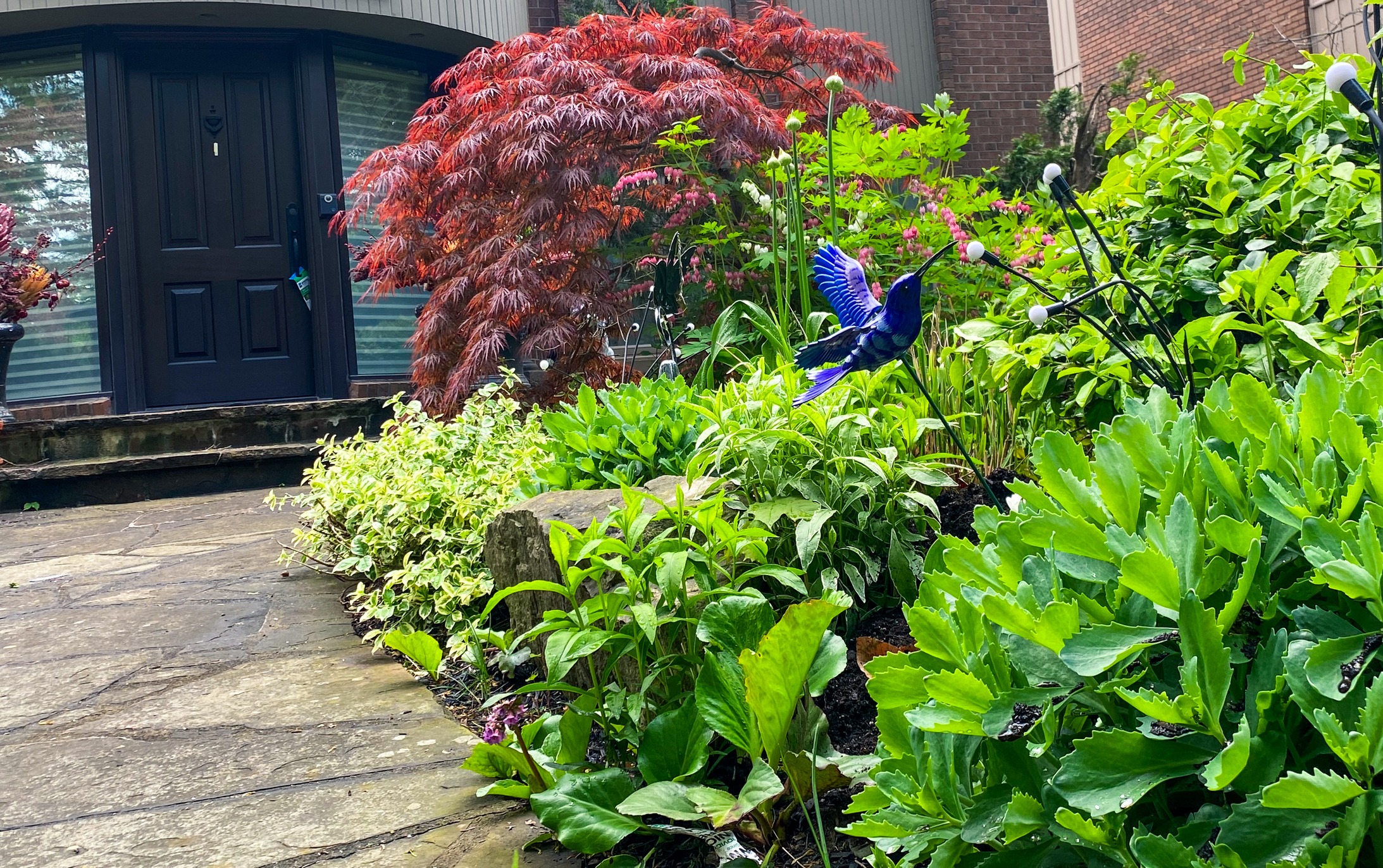 A lush garden with vibrant foliage and a blue bird decoration, set against a modern entrance with dark door and stone walkway.