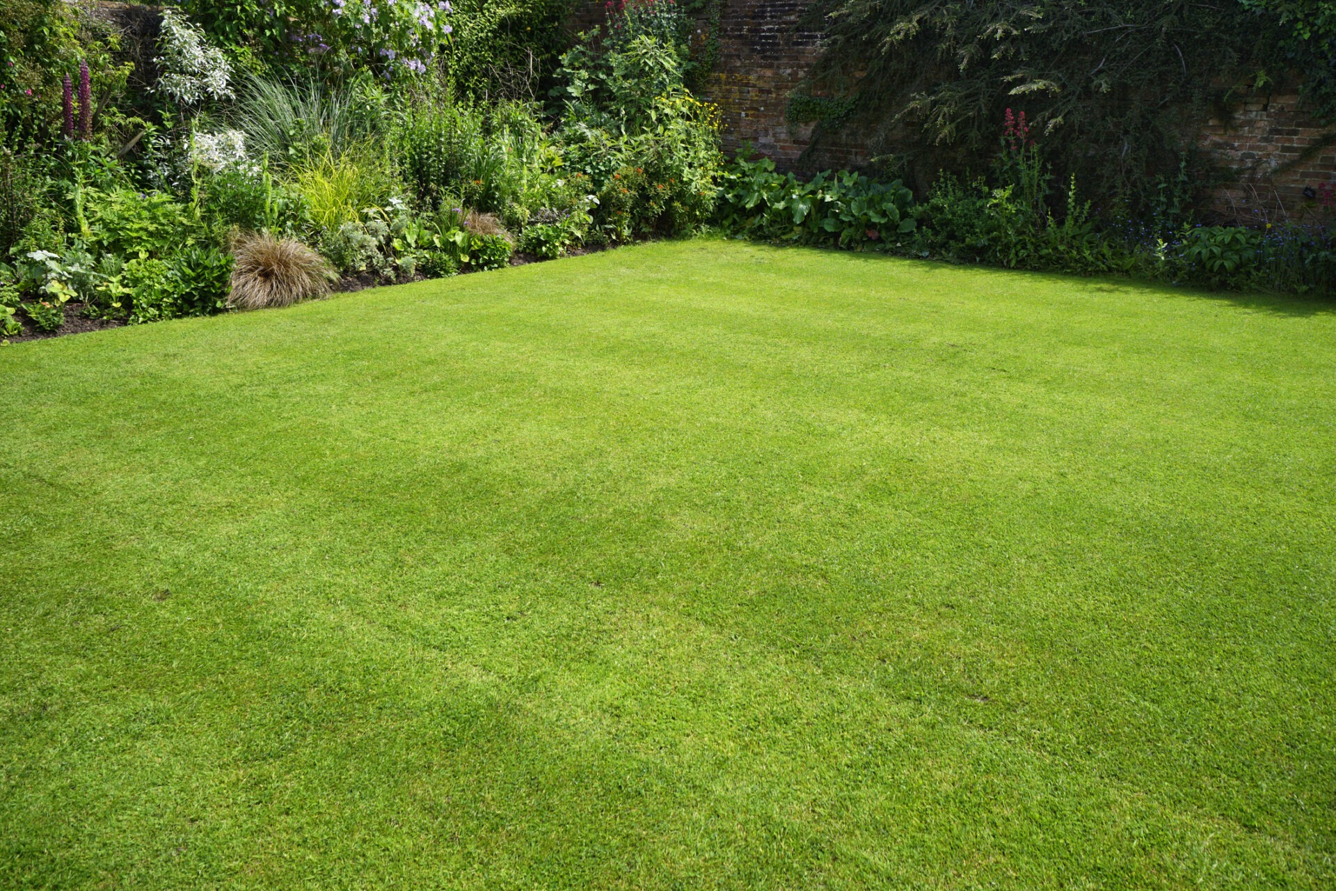 A well-manicured lawn surrounded by lush green plants and flowers, bordered by a brick wall in a garden setting.