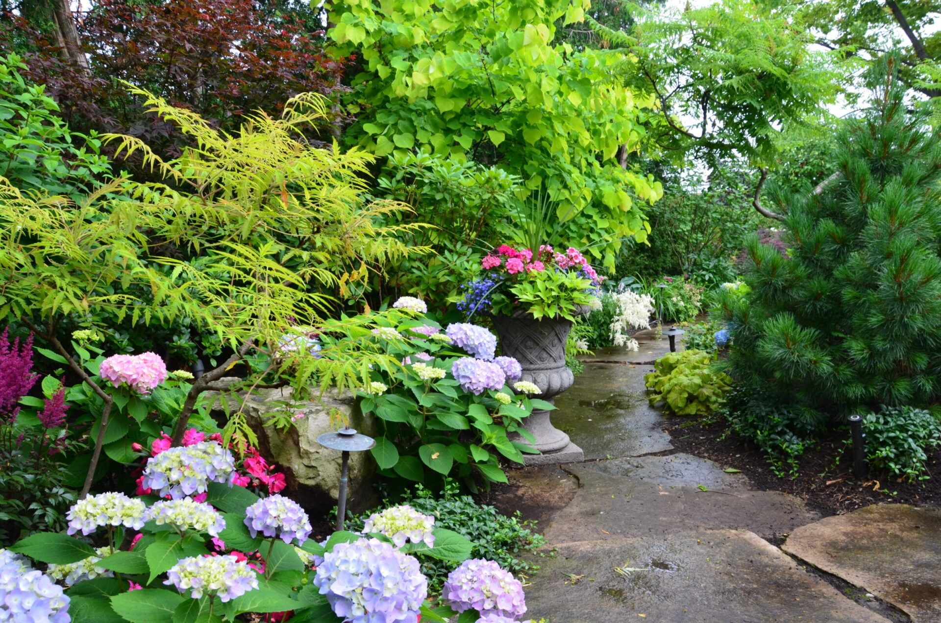 A lush garden path is surrounded by vibrant green foliage, colorful hydrangeas, and ornamental plants, creating a serene and inviting natural atmosphere.