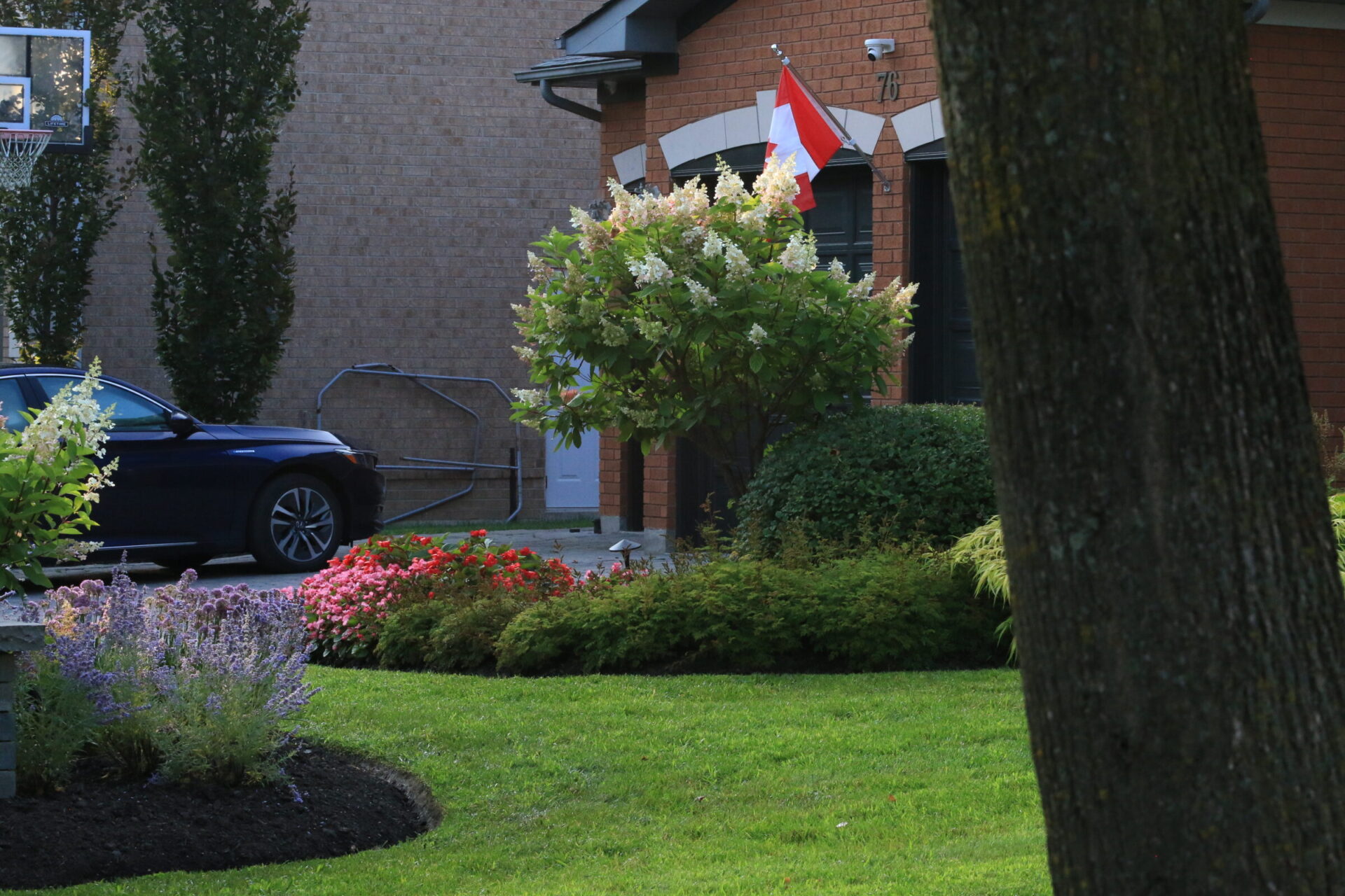 A suburban house with a Canadian flag, car in driveway, lush garden, flowering shrubs, and well-maintained lawn. No recognizable landmarks or people.