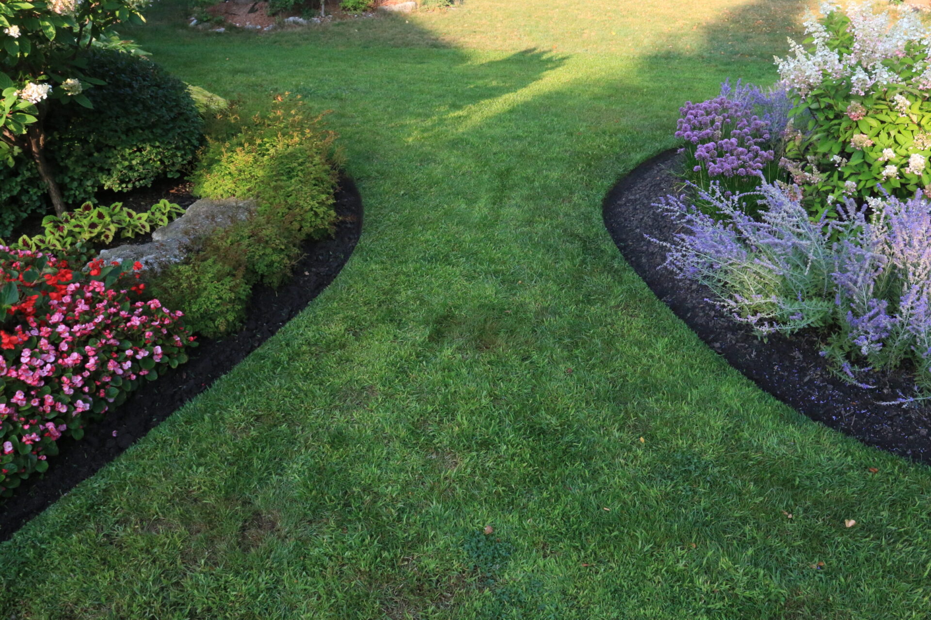 A lush garden with vibrant red and purple flowers flanking a neatly mowed grassy path, bathed in soft sunlight.