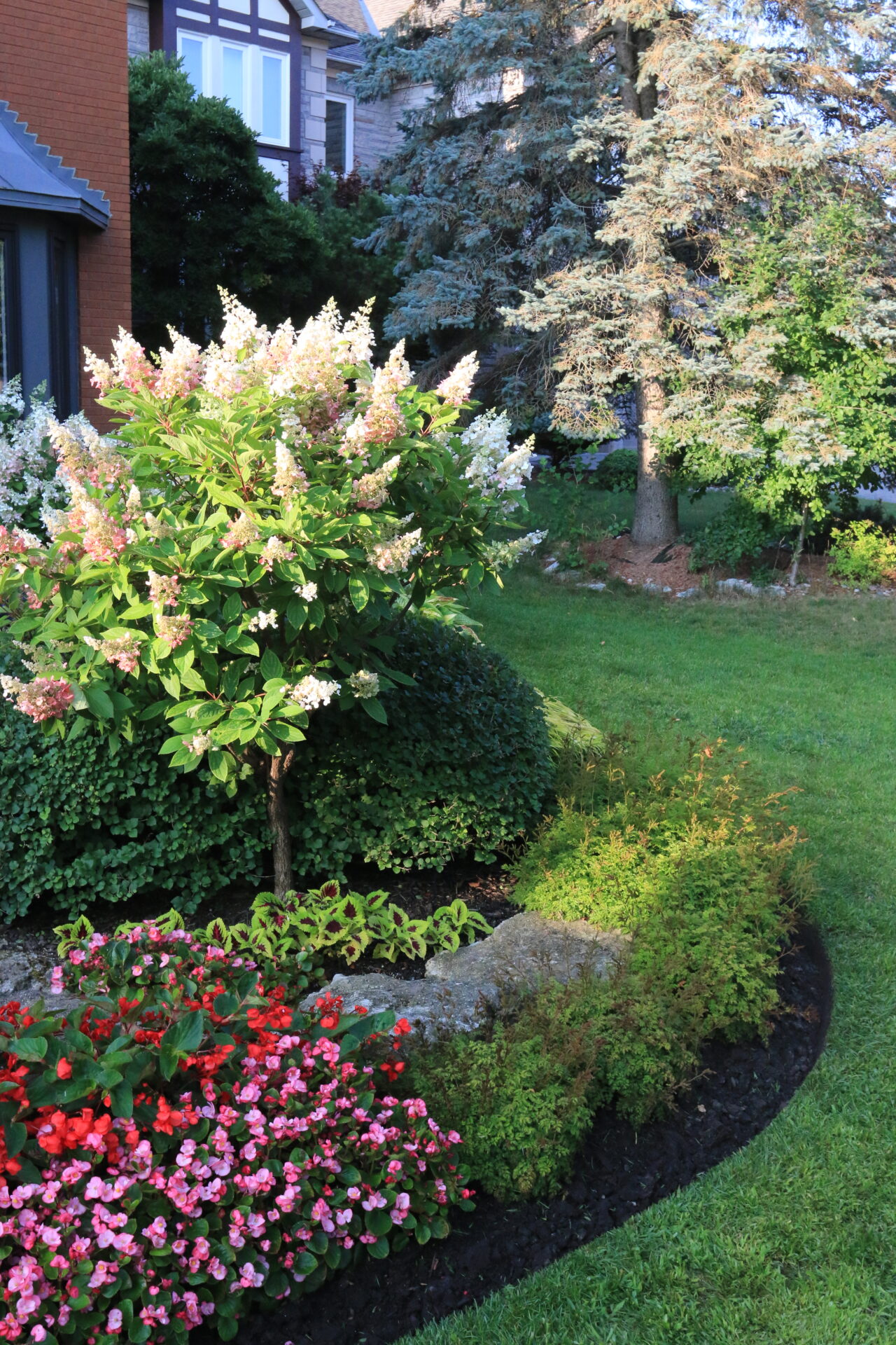 A lush garden with blooming flowers and trimmed shrubs beside a house, featuring trees and a well-maintained lawn on a sunny day.