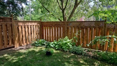 Picture11