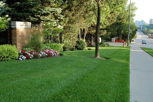 Picture14